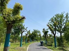 -广富林郊野公园