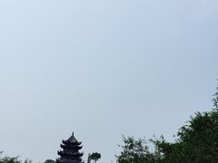 海湾国家森林公园(兆强文化海湾店)-上海海湾国家森林公园