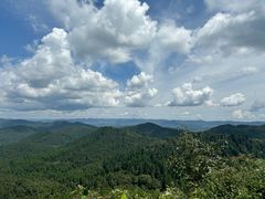 -武陵山森林公园