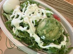 -油梨树AVOCADO TREE(望京店)