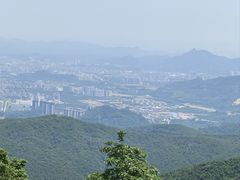 -东莞市大岭山森林公园