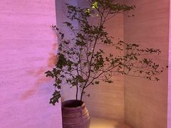 -舒小悦·舒养SPA·古法推拿(光环中心店)