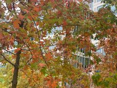 -领鲜天下·焗海鲜·花胶鸡(天目里店)