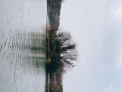 -中国湿地博物馆