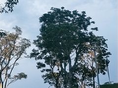 -白石龙音乐公园