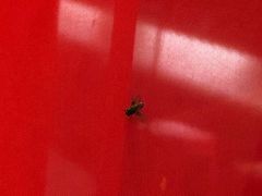 -小龙坎老火锅(北京三里屯店)