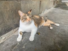 -西园寺