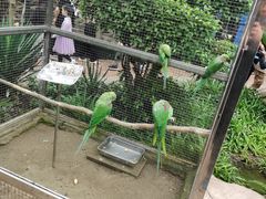 -大连森林动物园