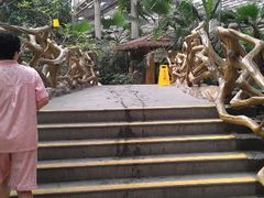 android_upload_pic-龙达温泉生态城