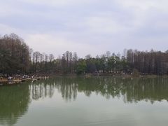 -东湖落雁景区