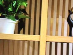 -尚荟汤泉生活馆