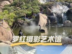-罗红摄影艺术馆