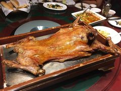 -九十九顶毡房(阜石路店)