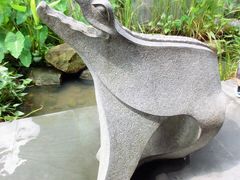 iphone_upload_pic-中国湿地博物馆