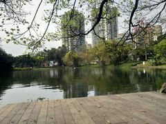 -晓港公园