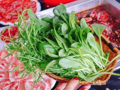 活体有机蔬菜拼盘-二荆条·蜀鲜汇城市森林火锅