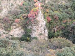 -黄花溪