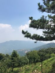-德哥灰指甲脚气甲沟炎跖疣护理