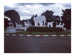 -清迈夜间动物园