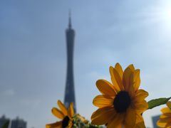 -海心沙亚运公园