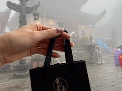 -九华山风景区