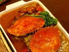 -茉莉.Red Crab