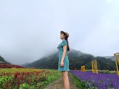 -广州市石门国家森林公园