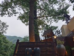 -Local泰莲庭(虹鳟鱼店)