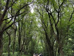 -虞山风景区