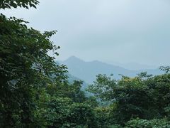 -秦岭终南山世界地质公园翠华山景区