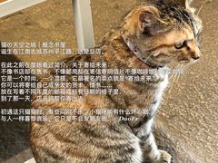 -猫的天空之城概念书店(苏州平江店)