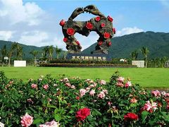 -亚龙湾国际玫瑰谷