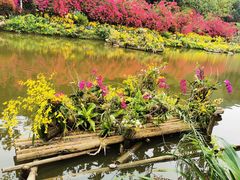 -深圳仙湖植物园