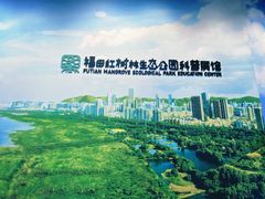 -福田红树林生态公园