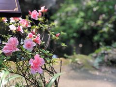 -成都杜甫草堂博物馆