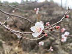 -百里山水画廊乌龙峡谷
