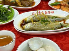 -蛇口康乐快餐鱼仔档(翠苑小区店)