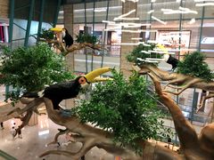 -大族广场Mall&More