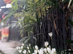 -后柳水乡