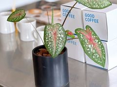 -GOOD GOODS咖啡店(南园店)