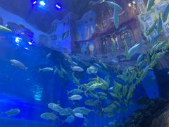 -华夏文旅海洋公园