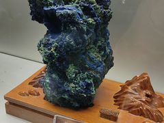 -甘肃地质博物馆