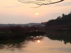 -南国桃园旅游度假区