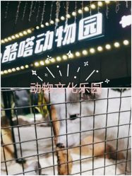 -酷嗒动物文化乐园(cutezoo西溪乐天城店)