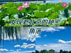 -什刹海