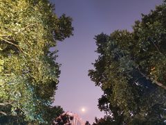 -海底捞火锅(银泰中心店)