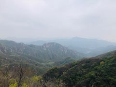 -大岭沟猕猴桃谷风景区