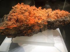 -湖南省地质博物馆