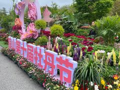 -狼山风景名胜区