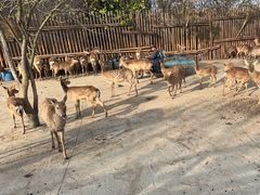 -泗洪洪泽湖湿地景区